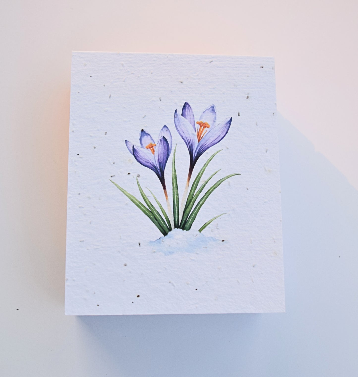Handmade Plantable Notepads - Snow Flower