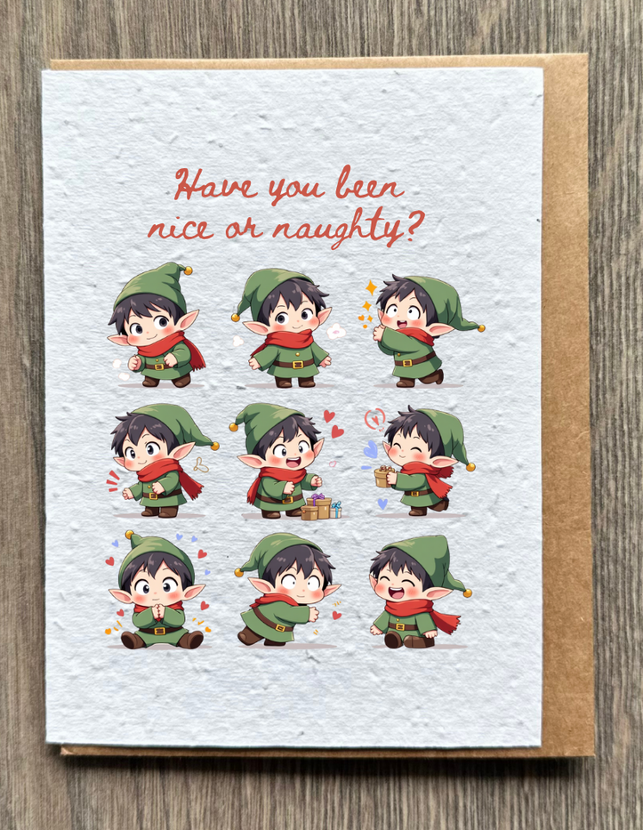 Naughty or Nice elf