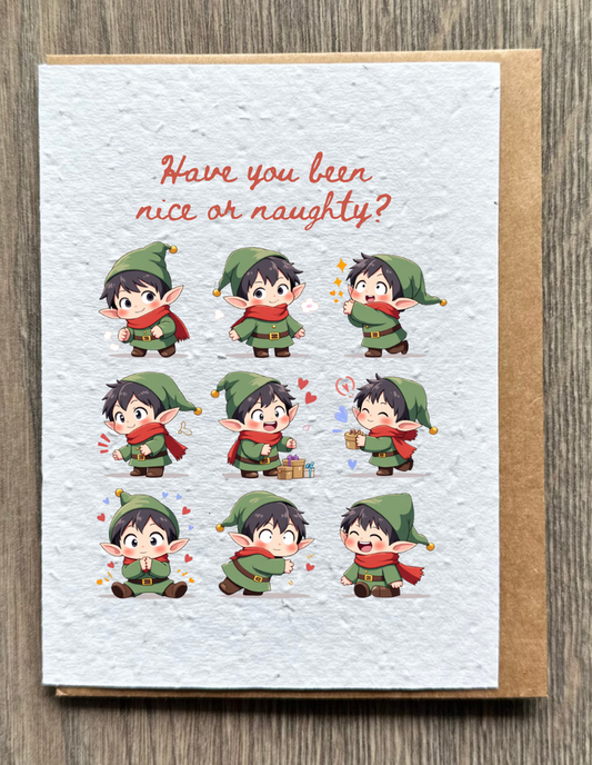 Naughty or Nice elf