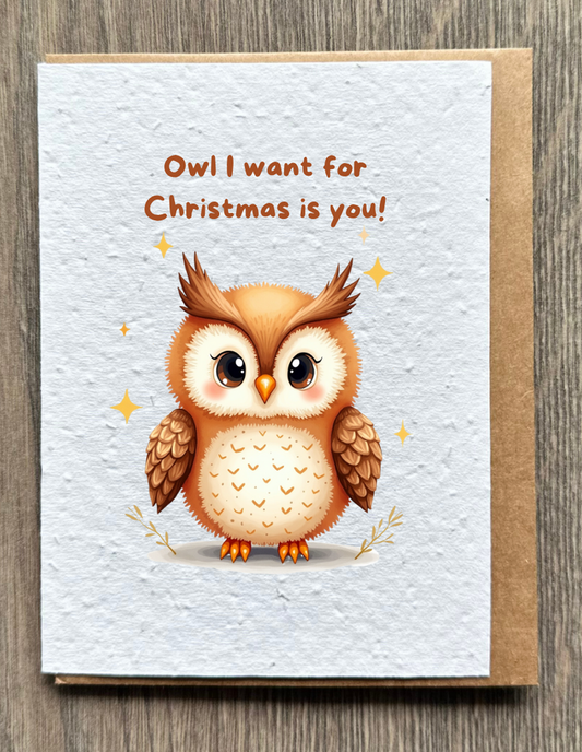 Owl I want for Christmas