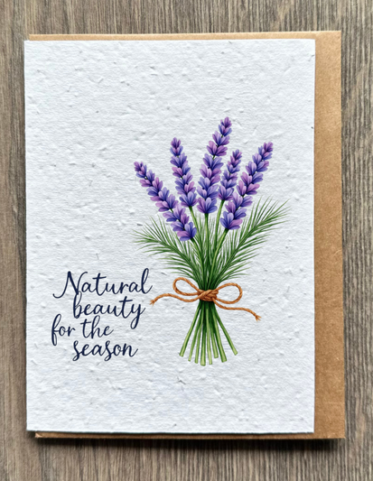 Season's Greeting Lavender