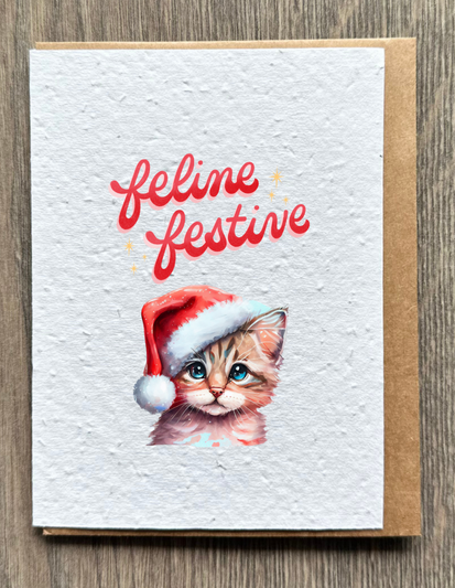 Festive Cat
