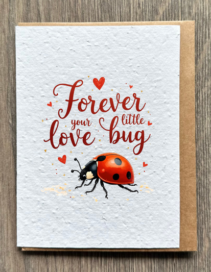 Lady Bug Love Card