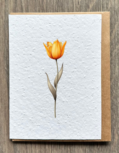 Tulip Everyday Card